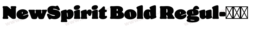 NewSpirit Bold Regul字体转换
